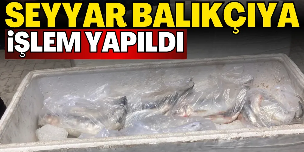 SEYYAR BALIKÇIYA İŞLEM YAPILDI