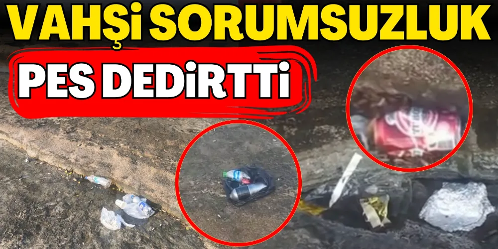 VAHŞİ SORUMSUZLUK PES DEDİRTTİ