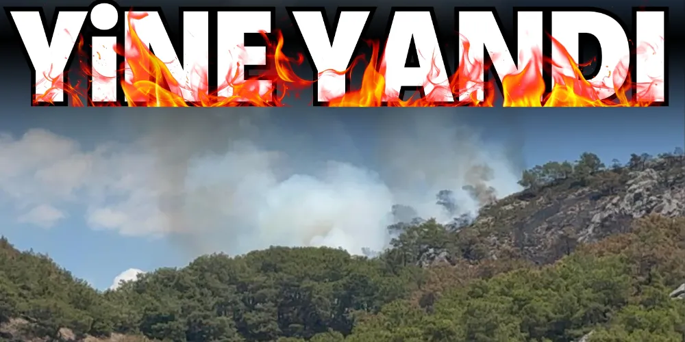 KARADAĞ YİNE YANDI