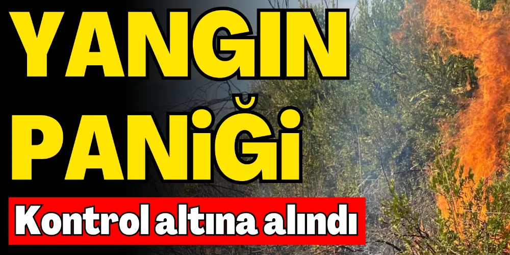 ORMAN YANGINI KONTROL ALTINA ALINDI 