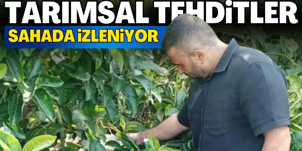 TARIMSAL TEHDİTLER SAHADA İZLENİYOR