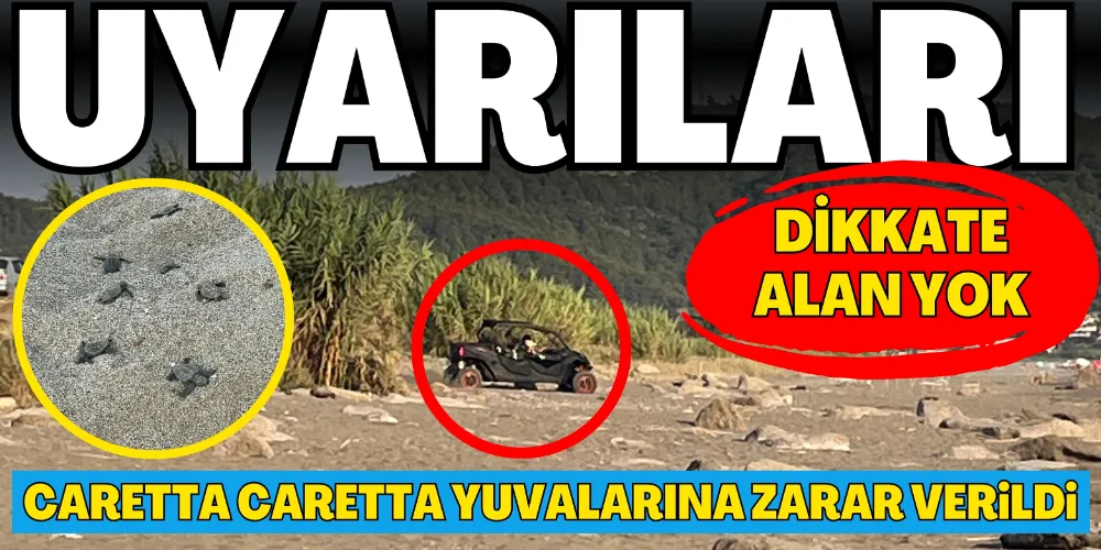 CARETTA CARETTA YUVALARINA ZARAR VERİLDİ
