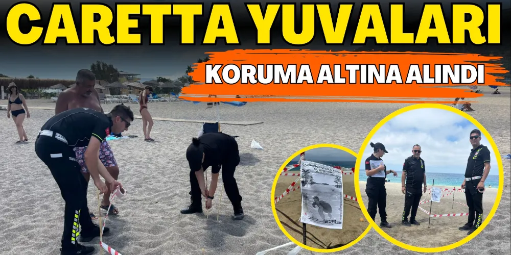 CARETTA YUVALARI KORUMA ALTINA ALINDI