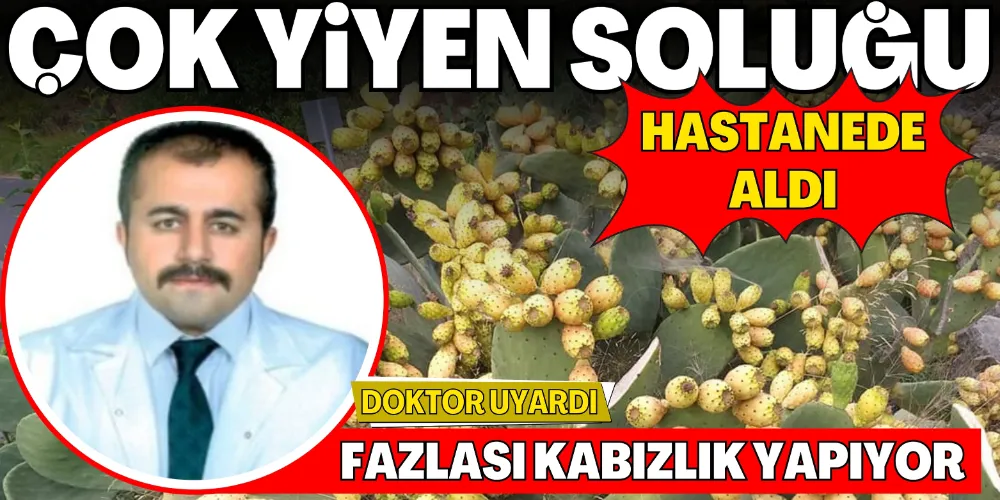 DİKENLİ İNCİRİ FAZLA TÜKETENLER HASTANELİK OLDU