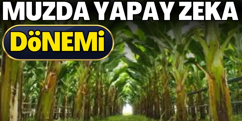 MUZDA YAPAY ZEKA DÖNEMİ
