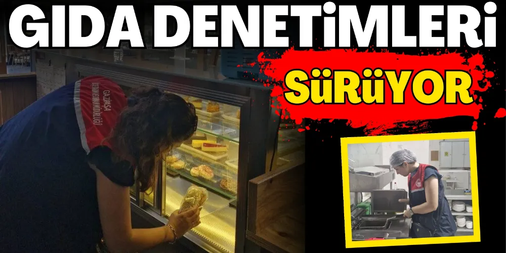 GIDA DENETİMLERİ SÜRÜYOR
