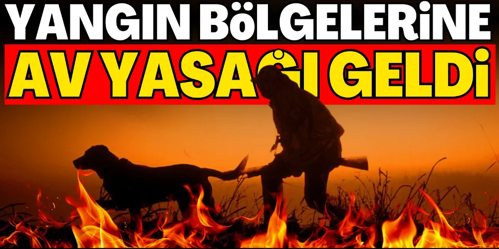YANGIN BÖLGELERİNE AV YASAĞI GELDİ