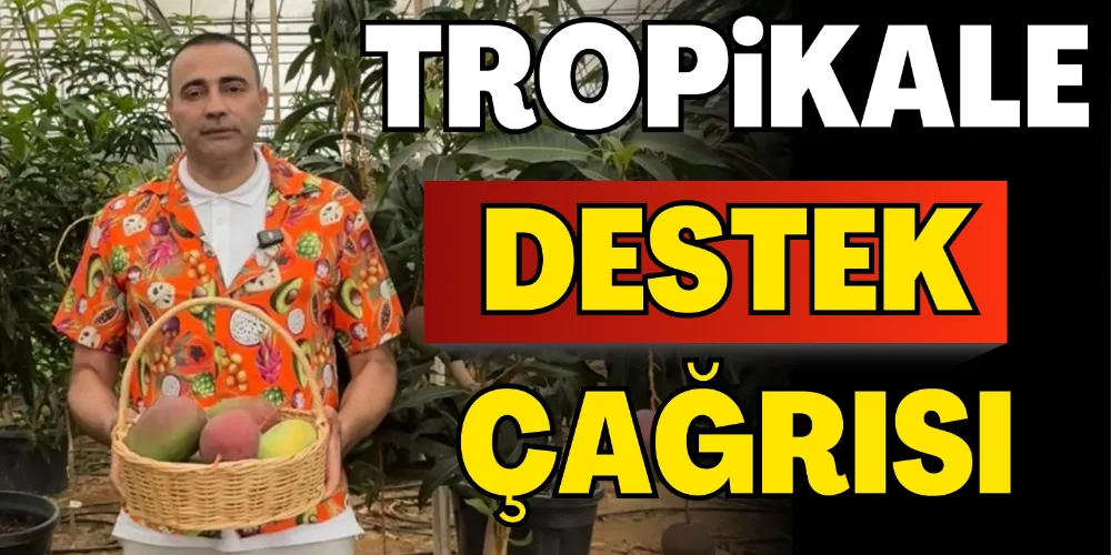 TROPİKALE DESTEK ÇAĞRISI