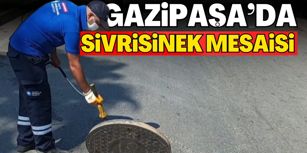 GAZİPAŞA’DA SİVRİSİNEK MESAİSİ