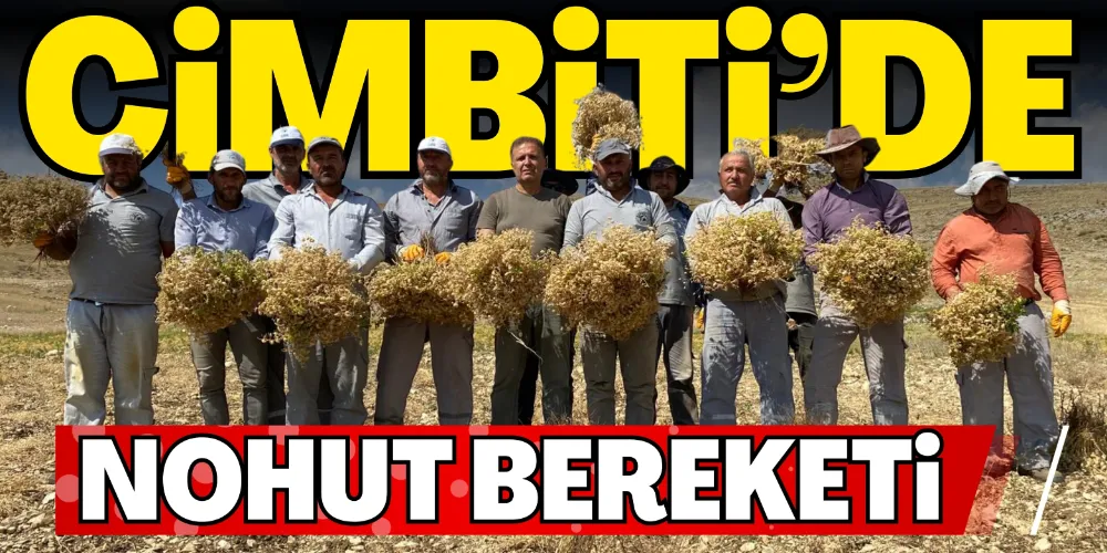 CİMBİTİ’DE NOHUT BEREKETİ