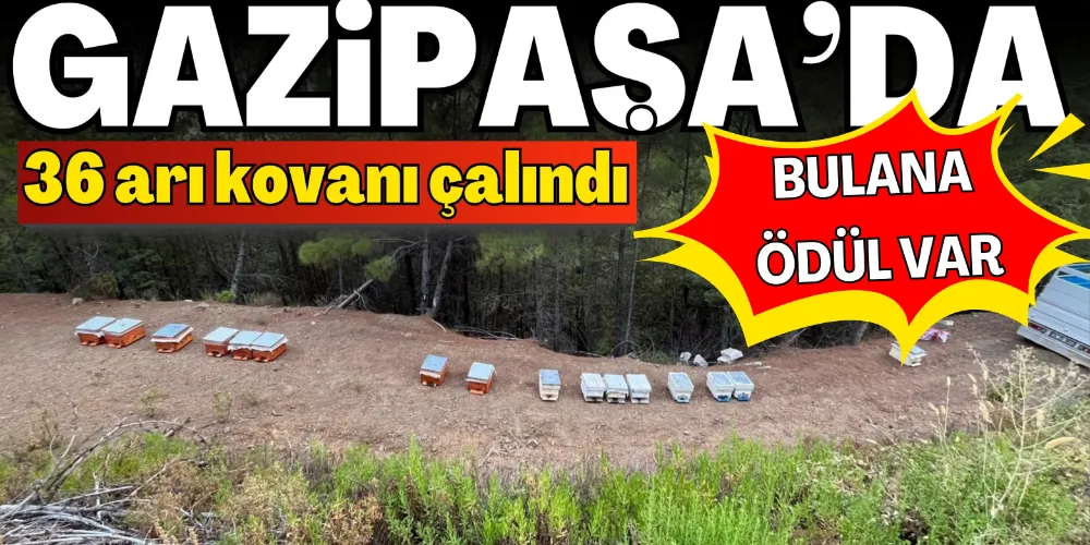 İNAL’DA 36 ARI KOVANI ÇALINDI