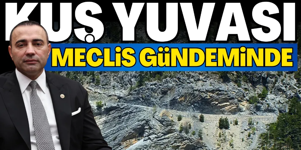 KUŞ YUVASI MECLİS GÜNDEMİNDE