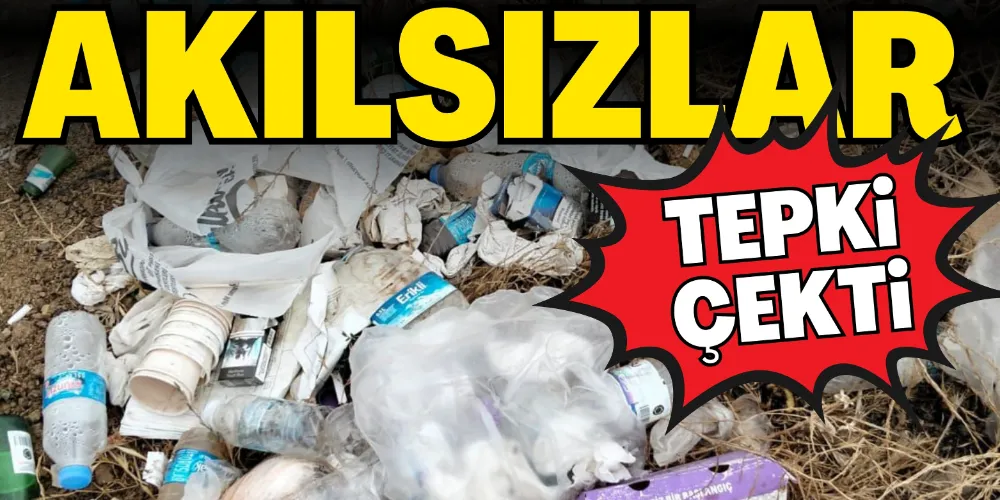 AKILSIZLAR TEPKİ ÇEKTİ!