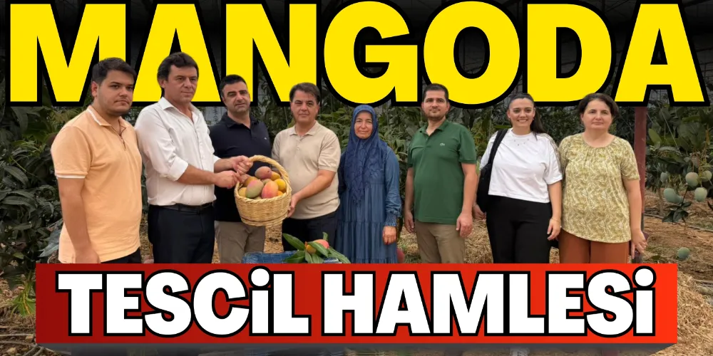 MANGODA TESCİL HAMLESİ