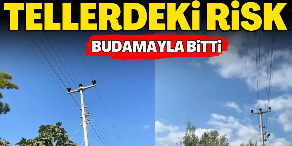 TELLERDEKİ RİSK BUDAMAYLA BİTTİ