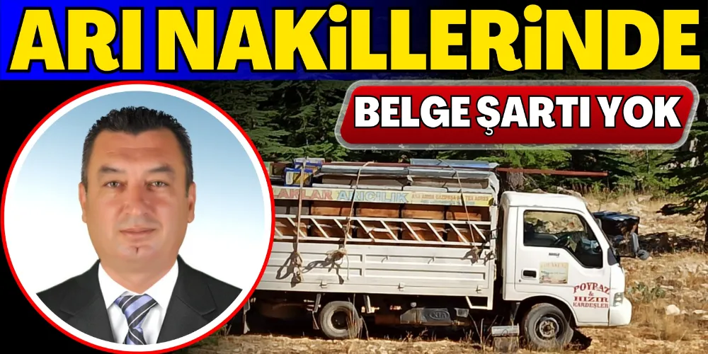 ARI NAKİLLERİNDE BELGE ŞARTI YOK
