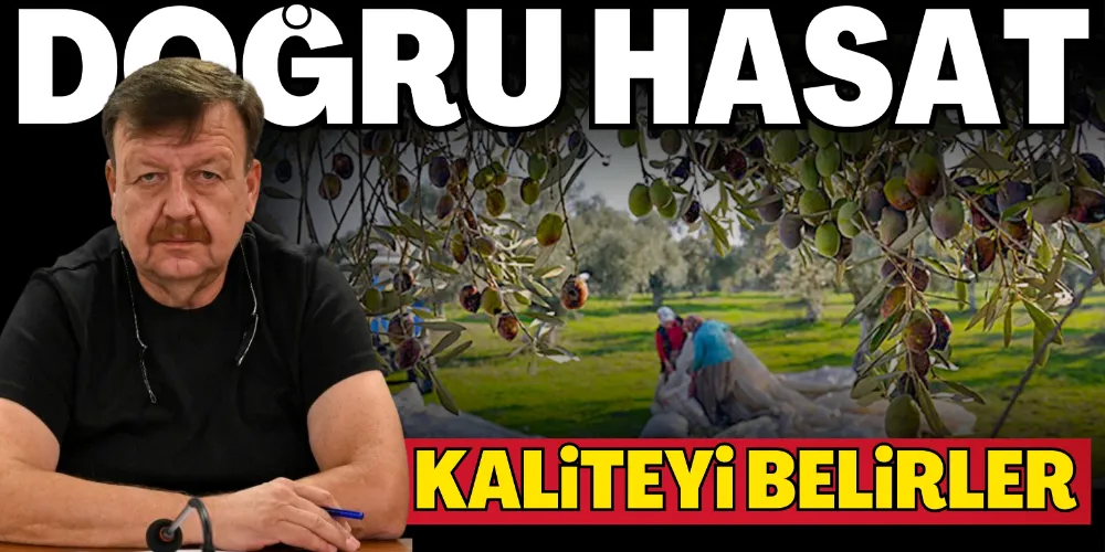 DOĞRU HASAT KALİTEYİ BELİRLER