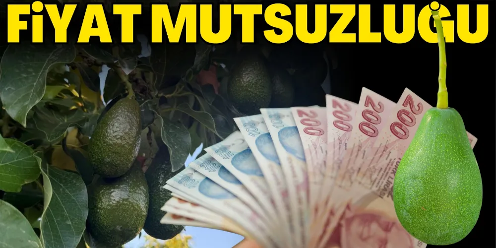 FİYAT MUTSUZLUĞU