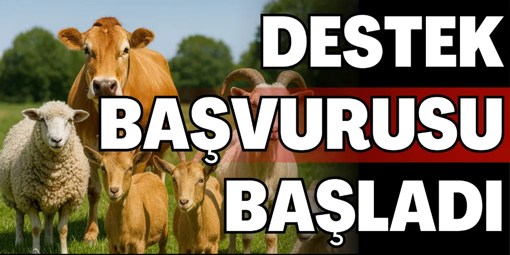 HAYVAN DESTEK BAŞVURULARI BAŞLADI
