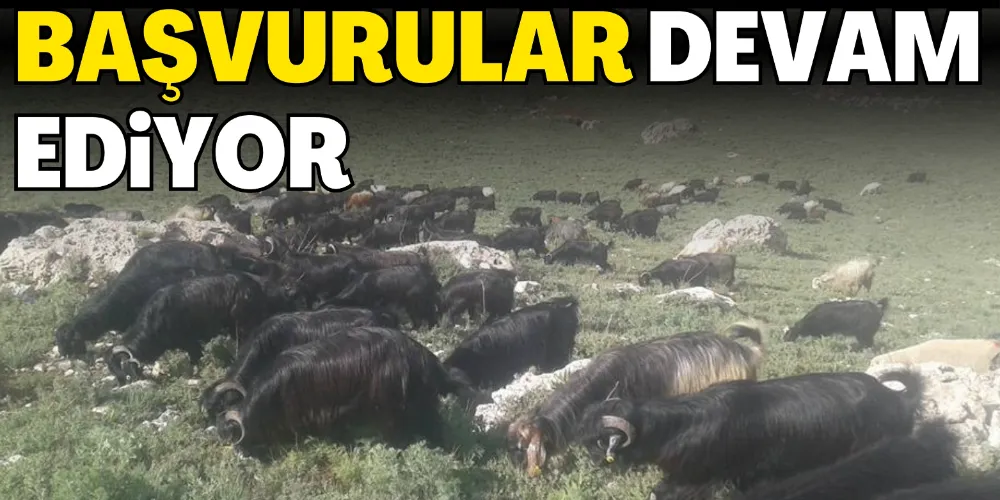 DESTEK BAŞVURULARI DEVAM EDİYOR