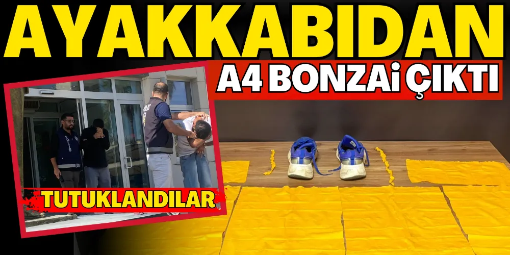 AYAKKABIDAN A4 BONZAİ ÇIKTI