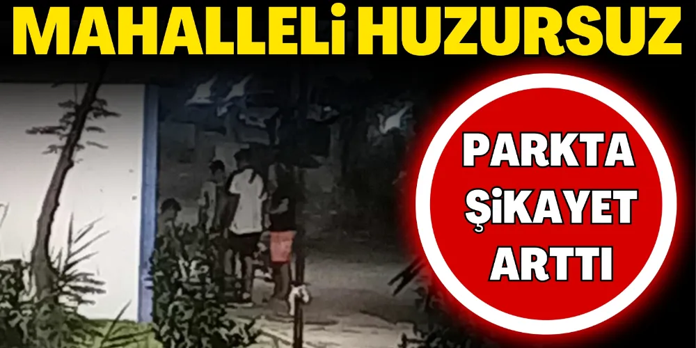 PARKTA GECE HUZURSUZLUĞU
