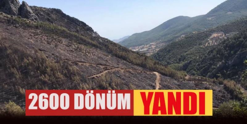 2 BİN 600 DÖNÜM YANDI