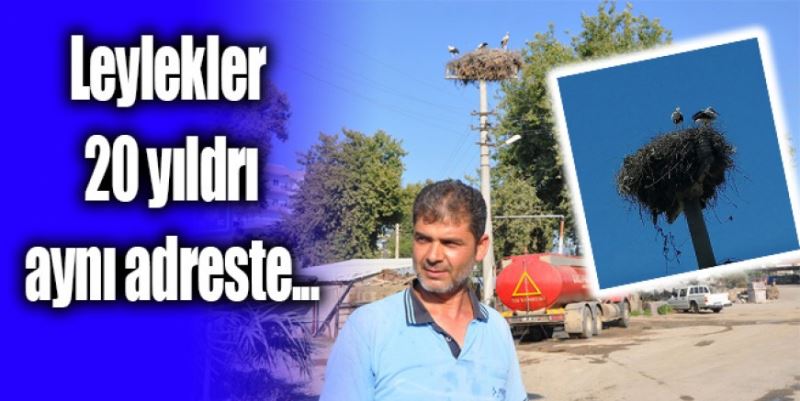 20 YILDIR AYNI DİREKTELER