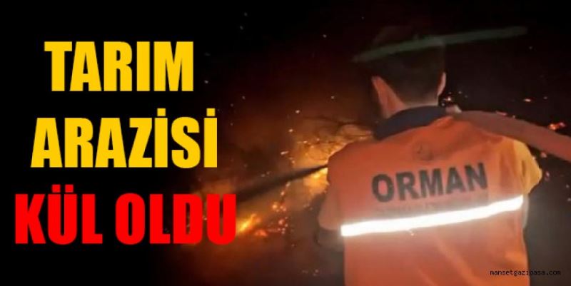 6 DÖNÜM TARIM ARAZİSİ KÜL OLDU