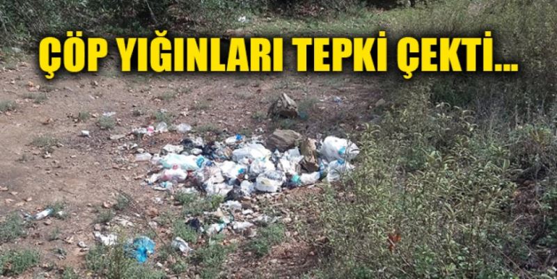 ADANDA YOLU ÇÖP İÇİNDE