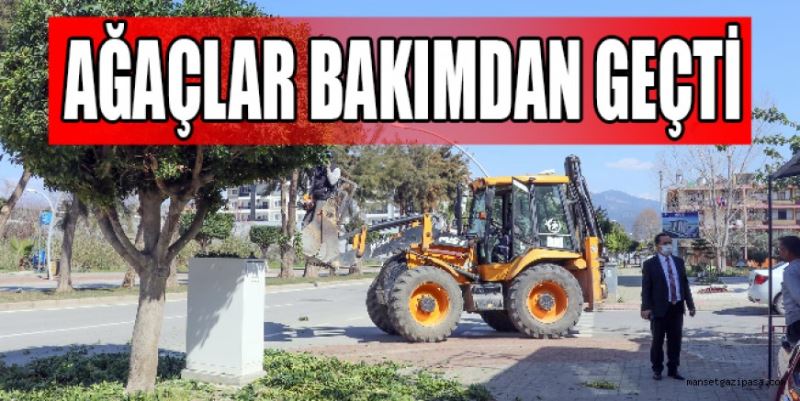 AĞAÇLAR BAKIMDAN GEÇTİ