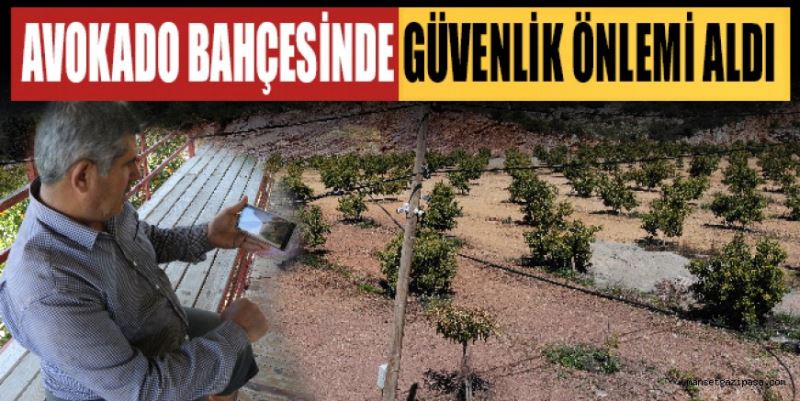 AVOKADO BAHÇESİNDE GÜVENLİK ÖNLEMİ ALDI