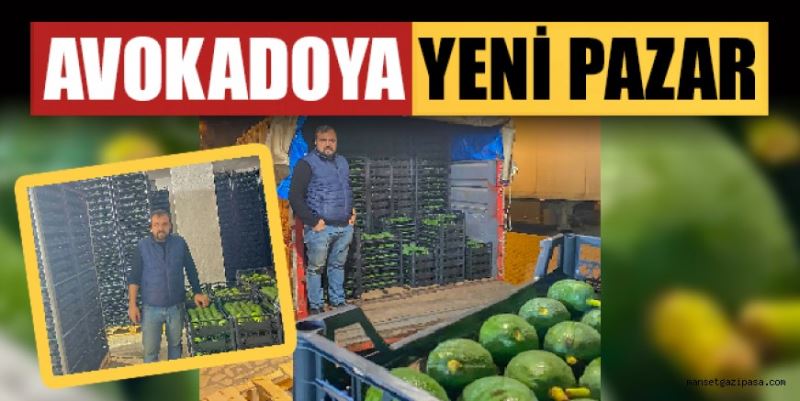 AVOKADOYA YENİ PAZAR