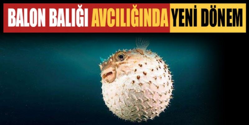 BALON BALIĞI AVCILIĞINDA YENİ DÖNEM