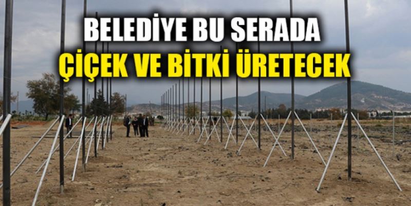 BELEDİYE KENDİ BİTKİSİNİ ÜRETECEK