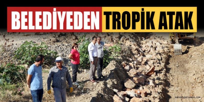 BELEDİYEDEN TROPİK ATAK