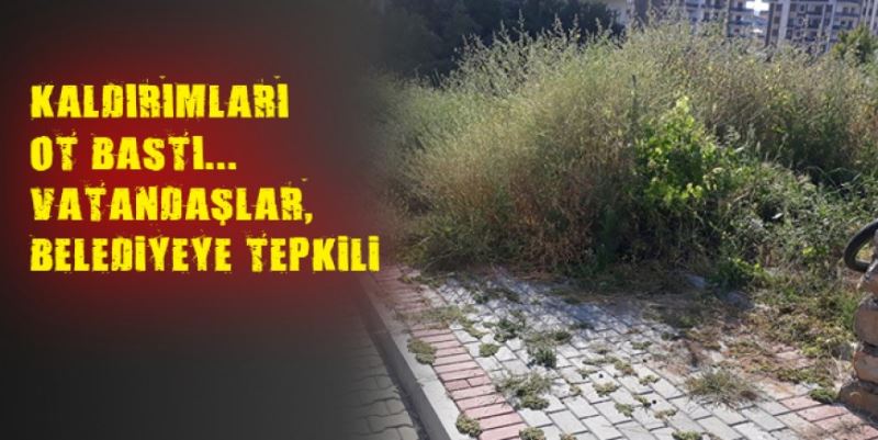 BELEDİYEYE OT TEPKİSİ