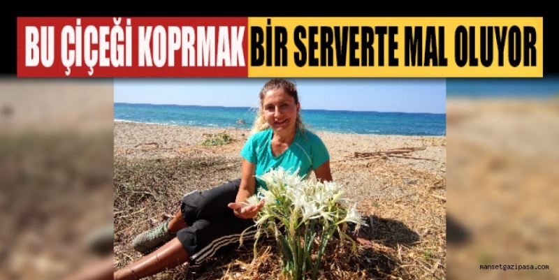 BU ÇİÇEĞİ KOPARMAK SERVETE MAL OLUYOR