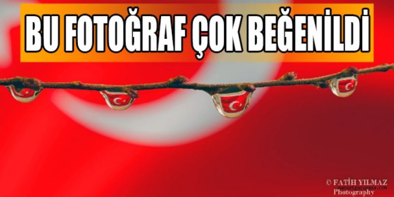 BU FOTOĞRAFLAR ÇOK BEĞENİLDİ