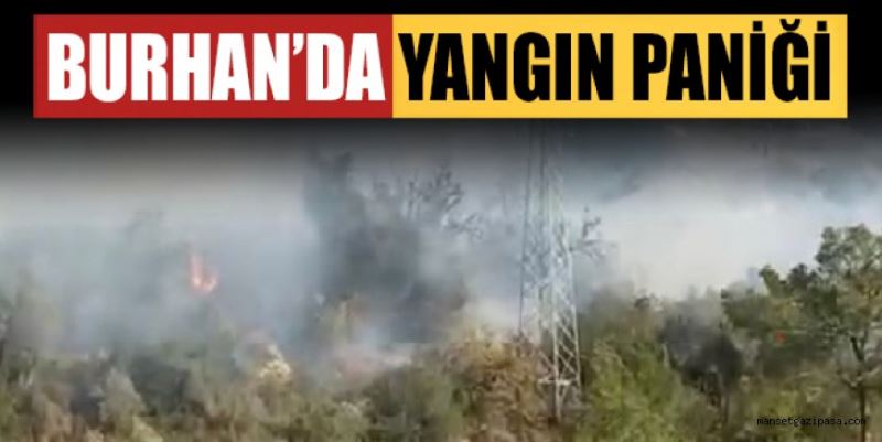 BURHAN’DA YANGIN PANİĞİ: 20 DÖNÜMLÜK ZİRAİ VE ORMANLIK ALAN KÜL OLDU