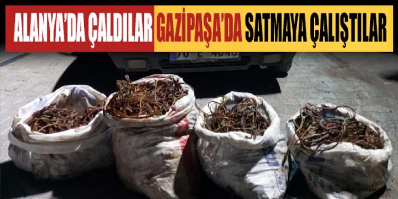 ÇALINTI KABLOLARI SATMAYA ÇALIŞTILAR