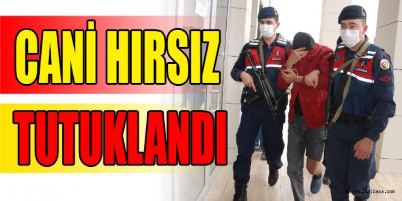 CANİ HIRSIZ TUTUKLANDI