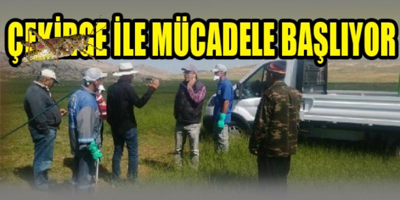 ÇEKİRGEYLE MÜCADELE BAŞLIYOR