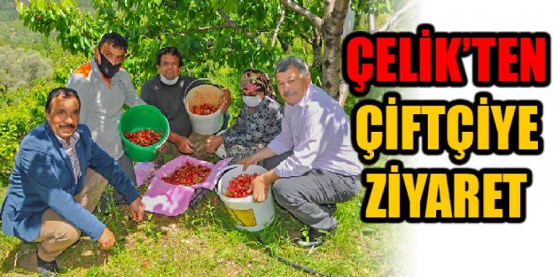 ÇELİK’TEN KİRAZ ÜRETİCİSİNE ZİYARET