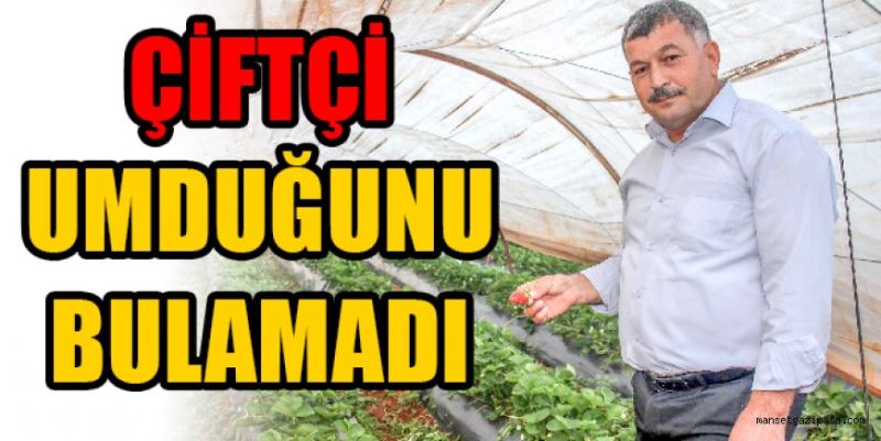 ÇİFTÇİ UMDUĞUNU BULAMADI