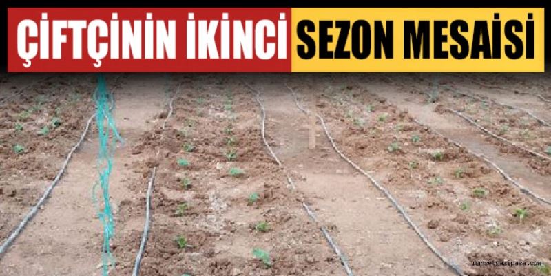 ÇİFTÇİNİN İKİNCİ SEZON MESAİSİ