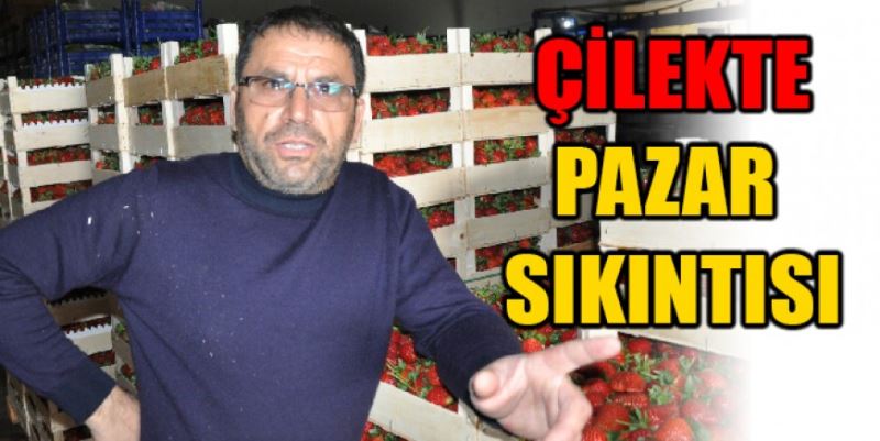 ÇİLEKTE PAZAR SIKINTISI