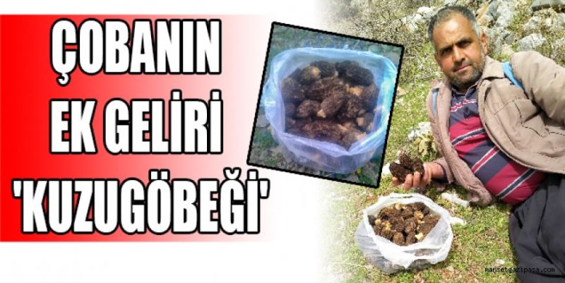 ÇOBANIN EK GELİRİ 