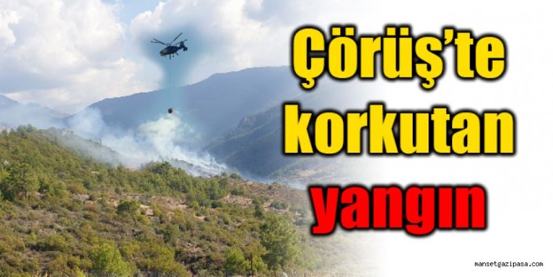 Çörüş’te çalılık yangını