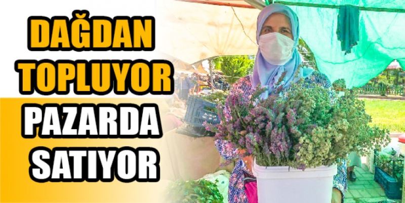 DAĞLARDAN TOPLADIĞI  OTLARI PAZARDA SATIYOR